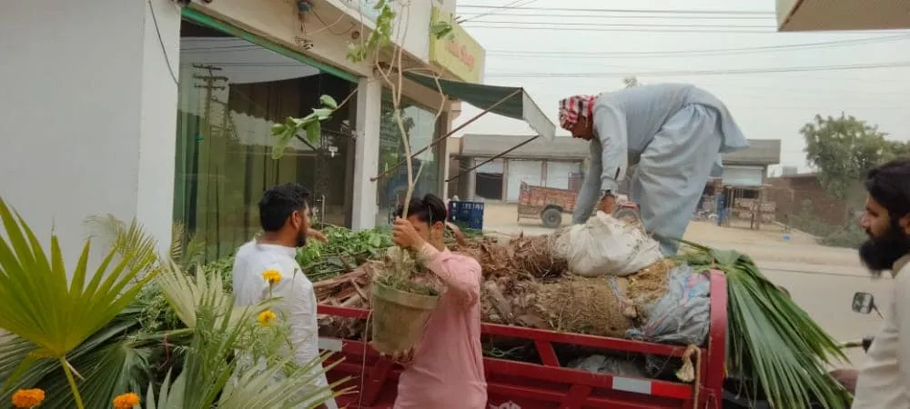 Green Seekers Activity